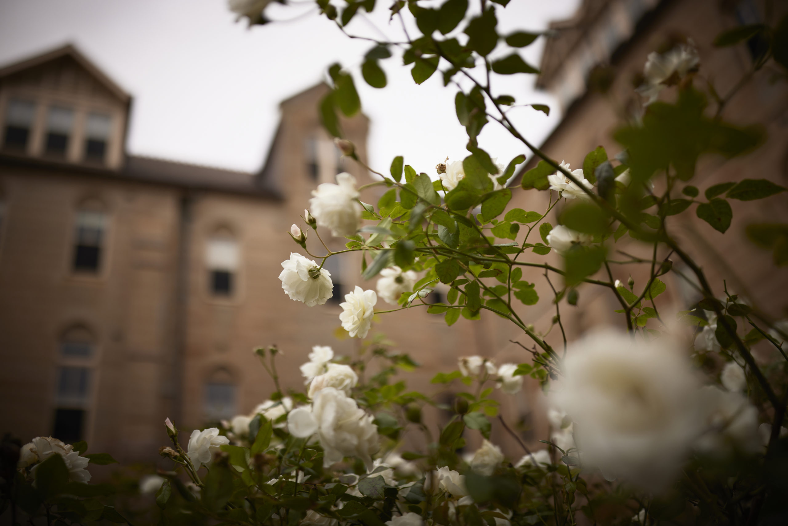 Leadership Team KincoppalRose Bay School